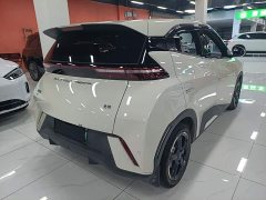 BYD Seagull Freedom Edition - ფოტო 6