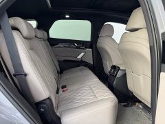 BYD Tang New Energy DM-i 115KM Premium Edition - photo 13