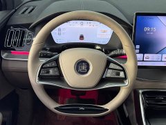 BYD Tang New Energy DM-i 115KM Premium Edition - photo 19