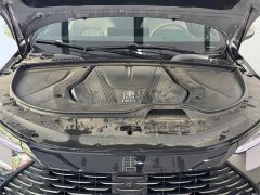 BYD Tang New Energy DM-i 115KM Premium Edition - photo 4