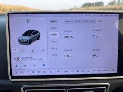 Li Auto L6 Max Smart Refresh Edition - ფოტო 9
