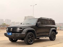 Tank 300 Off-Road Edition 2.0T Conqueror - ფოტო 1