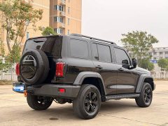 Tank 300 Off-Road Edition 2.0T Conqueror - ფოტო 7