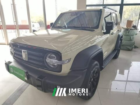 2025 Tank 300 2.0T Gasoline Conqueror - ავტომობილი ჩინეთიდან