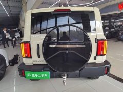 Tank 300 2.0T Gasoline Conqueror - ფოტო 5