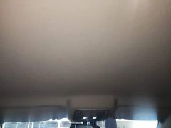 BYD Destroyer 05 Glory Edition DM-i 55KM Luxury - ფოტო 17