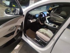 BYD Song Pro New Energy Champion Edition DM-i 110KM Excellence - photo 15