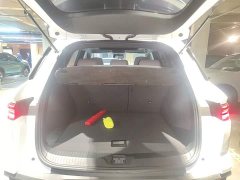 BYD Song Pro New Energy Champion Edition DM-i 110KM Excellence - photo 18