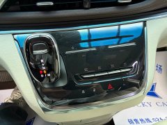 Buick GL8 Land Business Class Comfort Edition - ფოტო 12