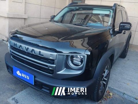 2024 Great Wall Dachshund 1.5T DCT Border Collie Edition - car from China