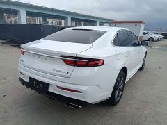 Geely Xingrui 2.0T Diesel Premium - ფოტო 11