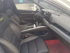 Geely Xingrui 2.0T Diesel Premium - ფოტო 5