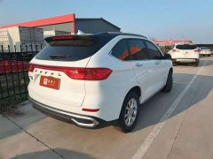 Haval M6 PLUS 1.5T Manual Luxury Smart Connected Edition - ფოტო 3