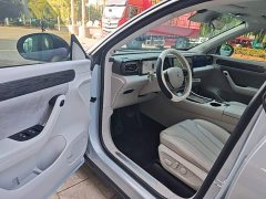 Leapmotor C11 Luxury - ფოტო 15