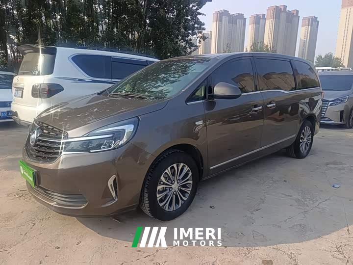 Buick GL8 Land Executive Cabin 652T Luxury - car from China