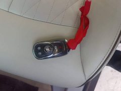 Buick GL8 Land Executive Cabin 652T Luxury - photo 8