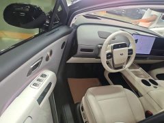 Li Auto i8 Standard Edition - ფოტო 14