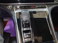 GAC Aion M8 Master Series 390T Luxury Edition - ფოტო 13