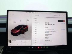 Tesla Model Y L Long Range All-Wheel Drive - photo 9