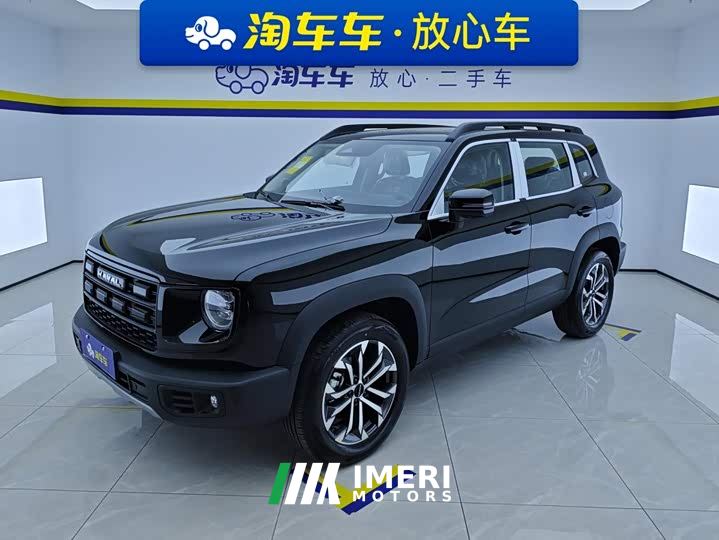 Great Wall Dachshund 1.5T DCT Border Collie Edition