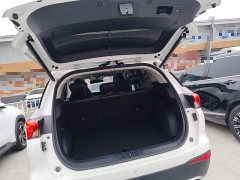 GAC Aion GS4 270T Automatic Smart Navigation Edition - ფოტო 18