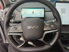 BYD Sealion 05 DM-i 115KM Flagship - photo 10