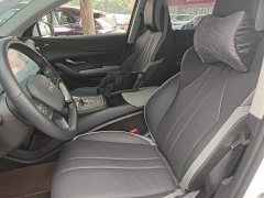 BYD Sealion 05 DM-i 115KM Flagship - photo 14