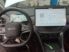 BYD Sealion 05 DM-i 115KM Flagship - photo 9