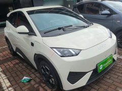BYD Seagull Smart Driving Edition 305km Freedom Edition - ფოტო 3