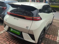 BYD Seagull Smart Driving Edition 305km Freedom Edition - ფოტო 6