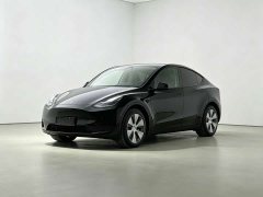 Tesla Model Y Rear-Wheel Drive - ფოტო 1
