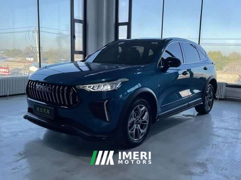 2022 Haval Chitu Jingxiang Edition 1.5T Purple Copper Rabbit - автомобиль из Китая