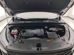 Geely Boyue 1.5TD Longteng Edition - photo 10