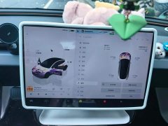 Tesla Model 3 Rear-Wheel Drive - ფოტო 13