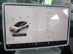 Tesla Model 3 Rear-Wheel Drive - ფოტო 14