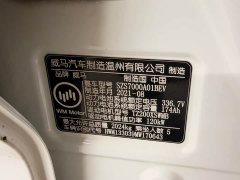 Weltmeister WM Motor E.5 500 Instant Travel Edition - ფოტო 20