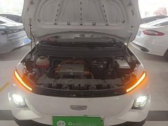 Geely Geometry E Firefly 301km Aurora - ფოტო 19