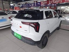 Geely Geometry E Firefly 301km Aurora - ფოტო 6
