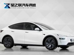 Tesla Model Y Rear-Wheel Drive - фото 6