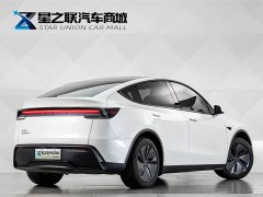 Tesla Model Y Rear-Wheel Drive - фото 7