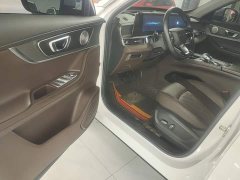 Chery Tiggo 8 PRO 290T Two-Wheel Drive Vast Edition 5-Seater - фото 15