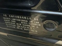 Tank 300 Off-Road Edition 2.0T Challenger - ფოტო 18