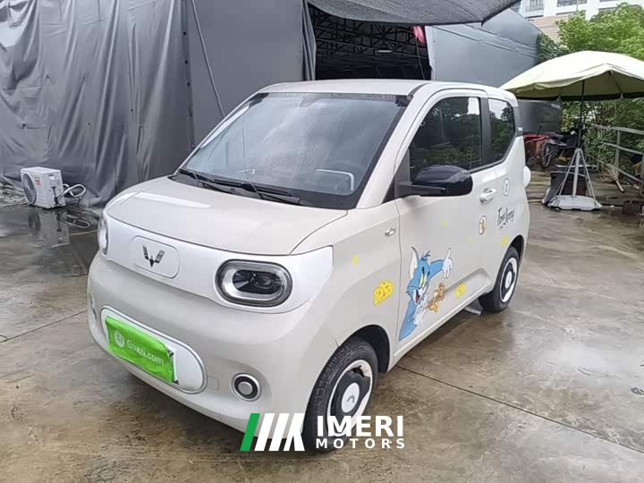 Wuling Hongguang MINIEV Third Generation 215km Youth Edition - ავტომობილი ჩინეთიდან
