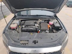 BYD Qin PLUS Glory Edition DM-i 55KM Leading - ფოტო 19