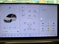 Li Auto L6 Pro - ფოტო 12