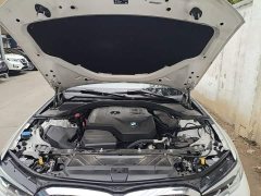 BMW 3 Series 320Li M Sport Package - ფოტო 19