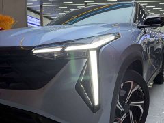 Geely Boyue 1.5TD Longteng Edition - ფოტო 14