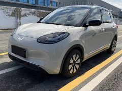 Wuling Binguo 410km Lingxi Premium Edition - ფოტო 1