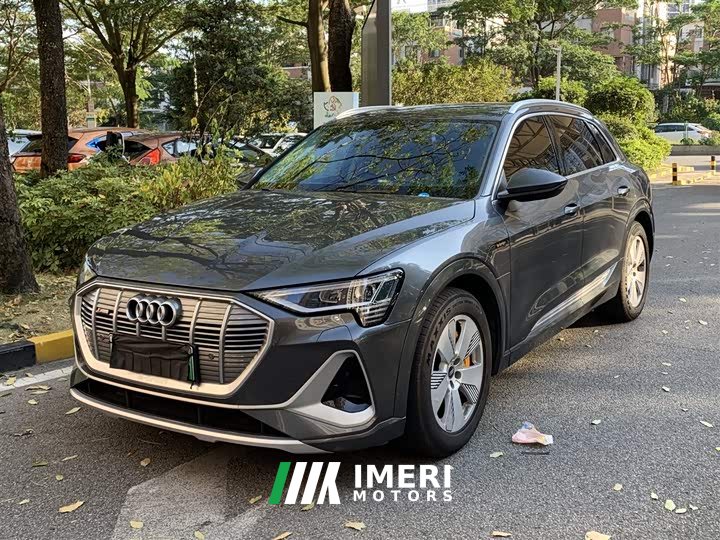 Audi e-tron 50 quattro Luxury - ავტომობილი ჩინეთიდან