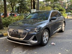 Audi e-tron 50 quattro Luxury - ფოტო 1